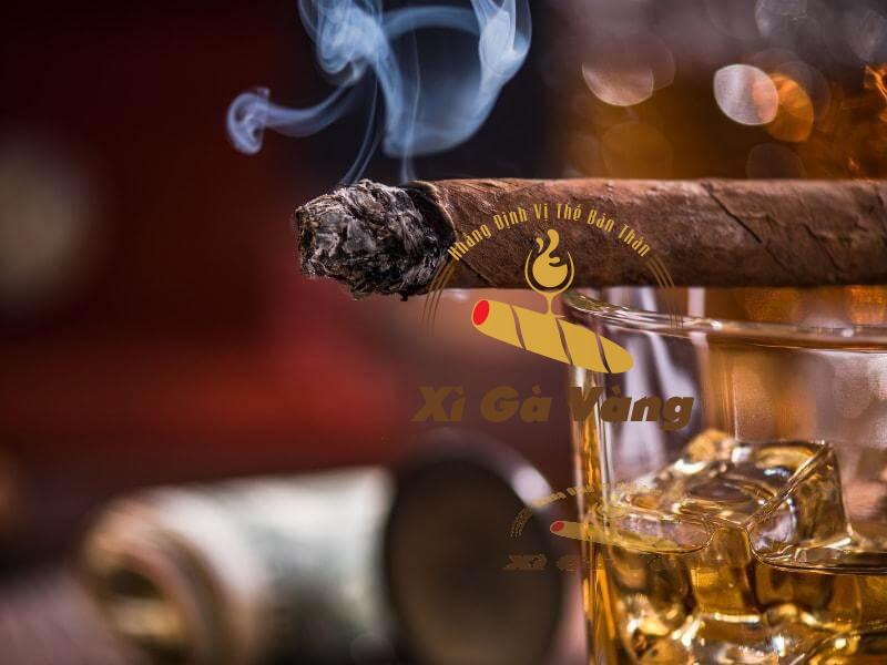 hương vị thơm ngon Maya Selva August 54 Honduras